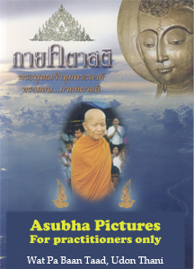 asubha pictures cover